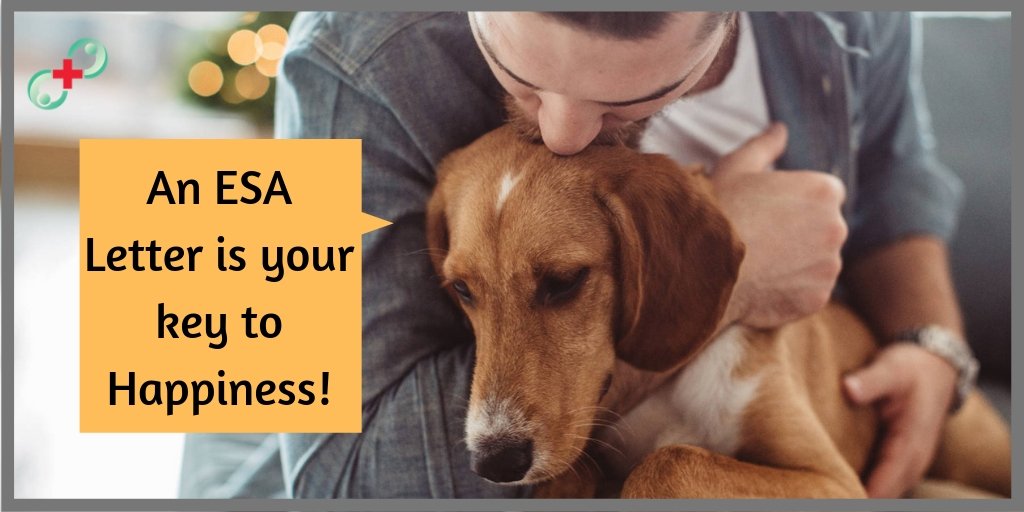 Petsupportdoct1's tweet photo. An #ESAletter is your key to happiness!
In this era of increasing workload and stress, anxiety related disorders are marking a common presence.
 #emotional #support #animal #doctor #pets #vetschool  #dogs #puppy #love  #doglovers  https://t.co/duMhcA7m4w https://t.co/ECWS2GXcp2