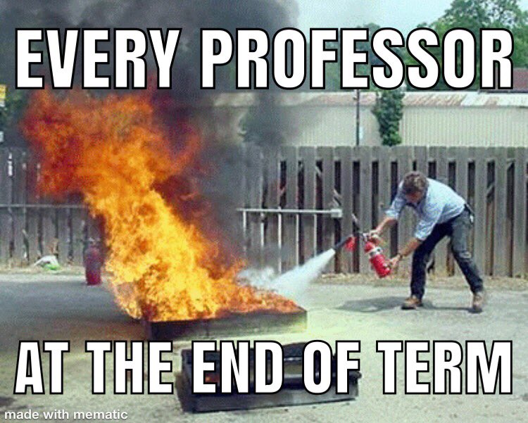 Dr Sharon Lauricella tweet media