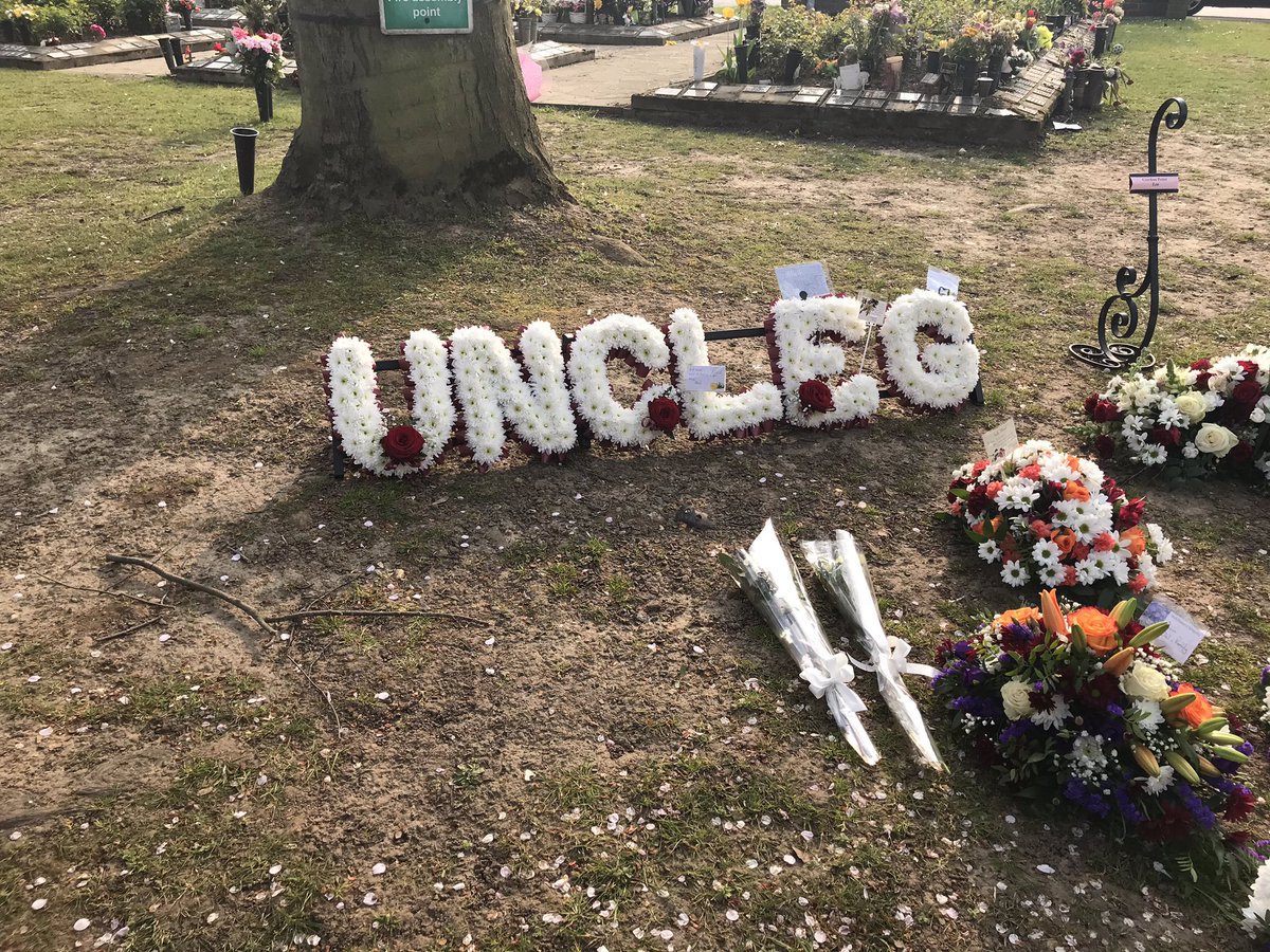 ✨𝐬𝐡𝐞𝐥𝐛𝐬✨ tweet media
