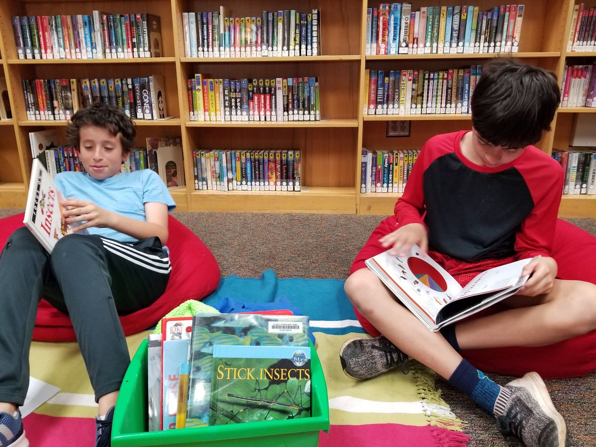 Alexis D. Stewart tweet media