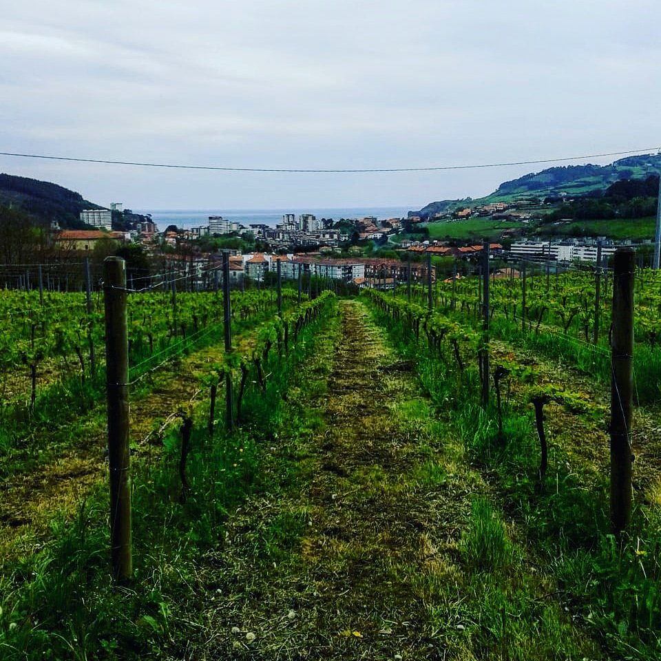 TurismoBakio's tweet photo. #bakiokotxakolina #astesantua #semanasanta2019 #acercarte @turismobakio De 10:00 a 14:00 Y de 16:00 A 18:00 #descubre #bakiokoerroak #nextto #gaztelugatxe⛪ @visituribe https://t.co/1Jt4khM87y