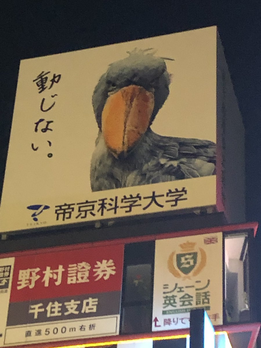 ゆうきゆう マンガ心療内科 セクシー心理学 Twitter પર 帝京科学大学の広告 動じない とか書いてますけど こんな生き物いきなり出てきたら動じるのはこっちだわと そりゃお前は動じないだろと ゆうきゆう マンガ心療内科 セクシー心理学 Twitter પર 帝京科学大学の広告 動じない とか書いてますけど こんな生き物いきなり出てきたら動じるのはこっちだわと そりゃお前は動じないだろと