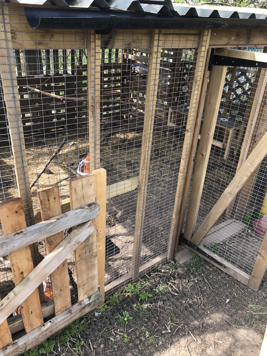 Samcoy1's tweet image. Sad day when someone wants to come at night and steal 10 chickens and all the roof pannels from our outdoor classroom @Benjamin_Adlard primary school what is the world coming to? Any information please let me know.