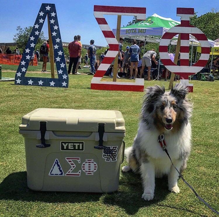 We are a week away from dog days! Come meet the dogs of RescueMe GA and help raise money for all of them. I know they are hype for Dog Days... are you?