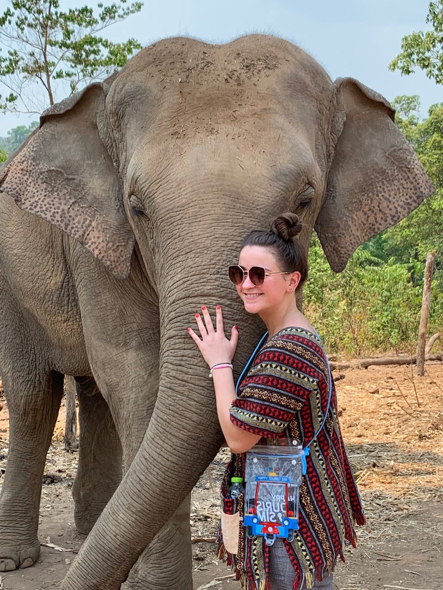 BOLHS_RS's tweet photo. We’ve made some friends for life. #elephantjunglesanctuary #elephants #mudbath https://t.co/CaN40pkhPM