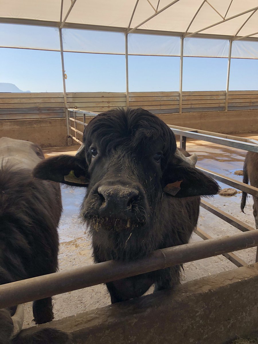 poderesanvincenzo.com