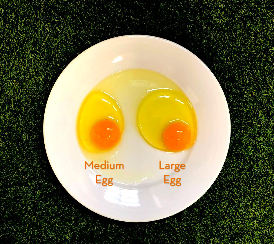 Did you know the egg #yolk in a large egg is no bigger than in a medium #egg? You’re still getting tasty value for money despite the #size. Have a #MixitupEaster &amp; choose #eggs of all sizes &amp; colours (not just the chocolate ones!) #Easteregg #eggsize <a href="/BFREPA/">British Free Range Egg Producers Association</a> <a href="/LincsChef/">Lincolnshire Chef</a> <a href="/gbchefs/">Great British Chefs</a>