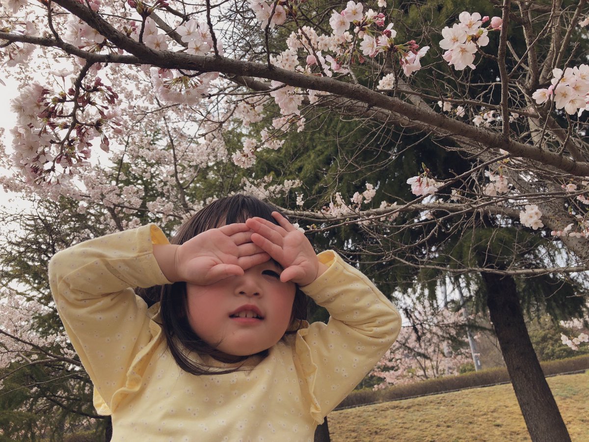 桜綺麗だったな～🌸

娘も風邪🤧つらいよー。

治して、お出かけしたり
仕事関連のことしなきゃね⭐

 #桜 #さくら #春 #風邪 #花粉症