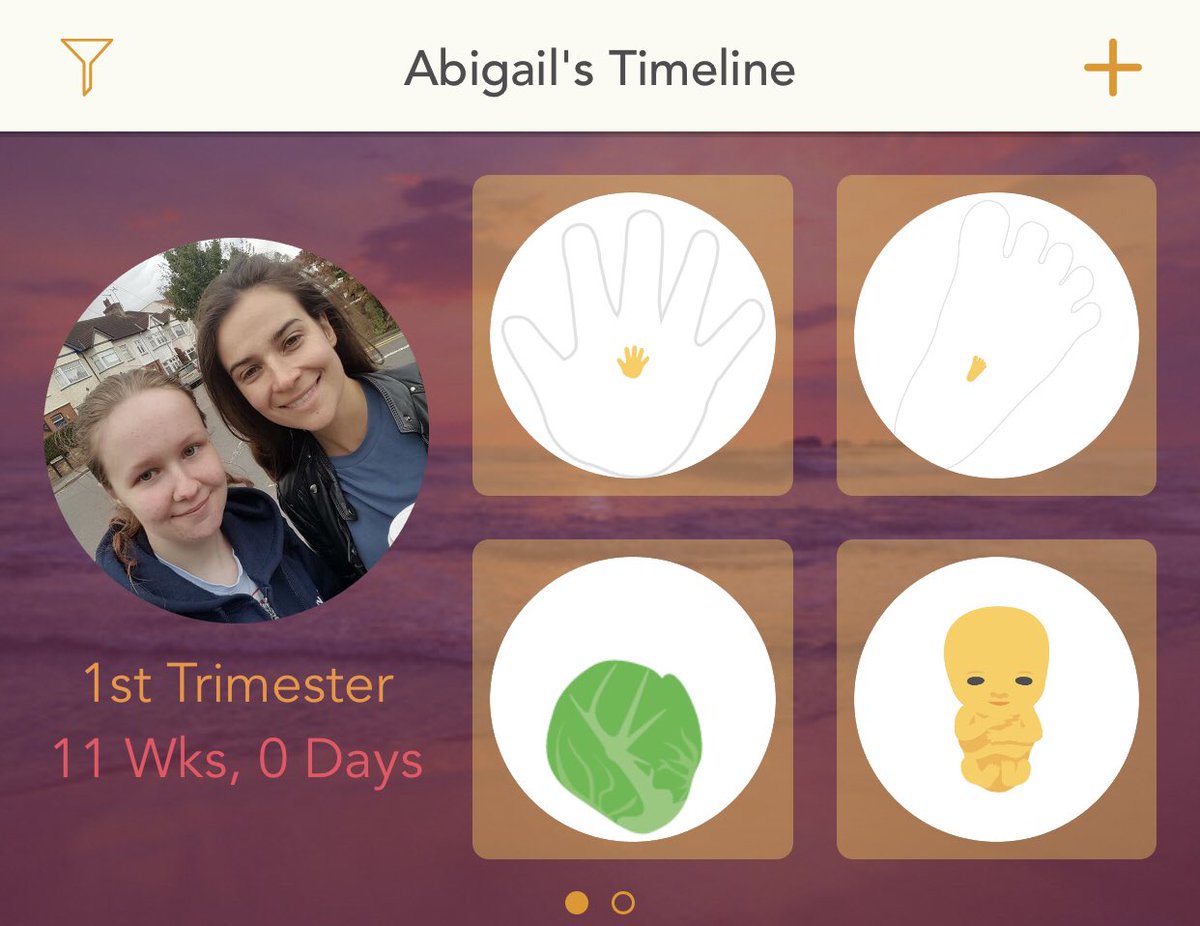 Zollie_Holby's tweet image. 11 weeks today!! Just 29 to go!! Baby is now officially a Fetus and no longer an Embryo❤️ Can’t wait to meet you.❤️ #Fetus #11weeks #29togo #nolongeranembryo #cantwait