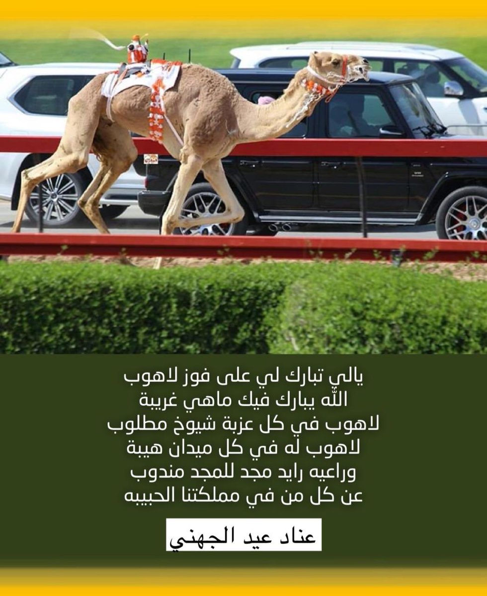 3nad_3id's tweet photo. يالي تبارك لي على فوز لاهوب 
الله يبارك فيك ماهي غريبة
لاهوب في كل عزبة شيوخ مطلوب 
لاهوب له في كل ميدان هيبة
وراعيه رايد مجد للمجد مندوب 
عن كل من في مملكتنا الحبيبه

عناد عيد الجهني https://t.co/b39nJ3nmaw