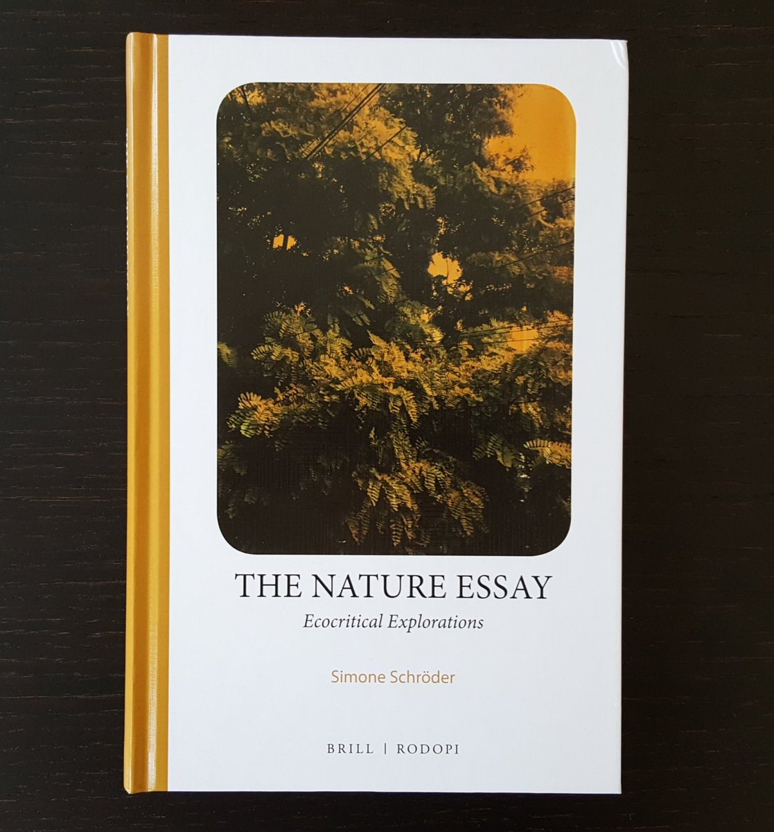 si_schr's tweet photo. It's been a long time coming and now it's here: my book on the nature essay. https://t.co/ca2ZgHDmnn https://t.co/l3p8wlpj6y