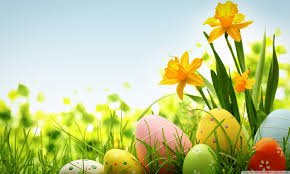 Uphando's tweet photo. Uphando Forensic and HR services wish all our clients and readers a happy Easter. May you enjoy the long weekend with friends and family. Please travel safely wherever you go. 
#HappyEaster #longweekend #SafetyFirst #SettingTheStandards #uphando https://t.co/JStbH7zDZK
