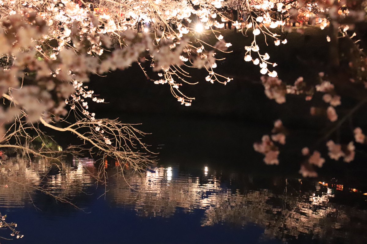 tendo7003's tweet photo. 遅い春を感じに長野へ！

#写真好きな人と繫がりたい 
#写真で伝えたい私の世界 
#ファインダー越しの私の世界ᅠ https://t.co/uDrzxw5dCX