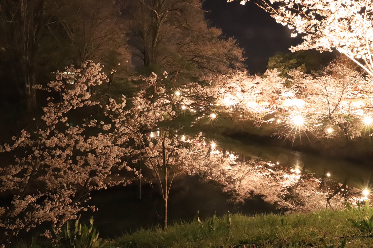 tendo7003's tweet photo. 遅い春を感じに長野へ！

#写真好きな人と繫がりたい 
#写真で伝えたい私の世界 
#ファインダー越しの私の世界ᅠ https://t.co/uDrzxw5dCX