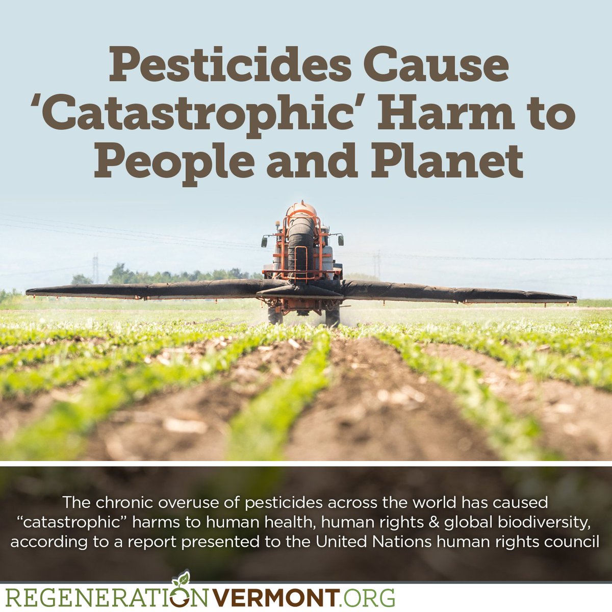 TheStoppedClock's tweet photo. How do we force real change at #pesticide megacorp @Bayer? By getting the CEO to step down:
https://t.co/E0em5HiPoC
#Pesticides are everywhere, in everything & everyone
#ToxicFarming is a crime - #Bayer #Monsanto & #ToxicFarmers are criminals
#Anthropocene #ThursdayThoughts https://t.co/88xIFHeyBj