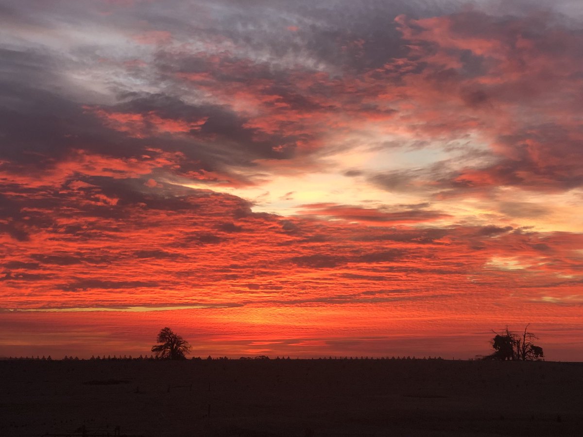 zoe_heart444's tweet photo. I am thankful to be able to witness another beautiful end to the day...
I am also thankful, for my amazing friends who brighten my day 🤗
And I hope, I brighten their day too x
#viewfrommybackyard #Sunsets https://t.co/KyGjbjh1kX