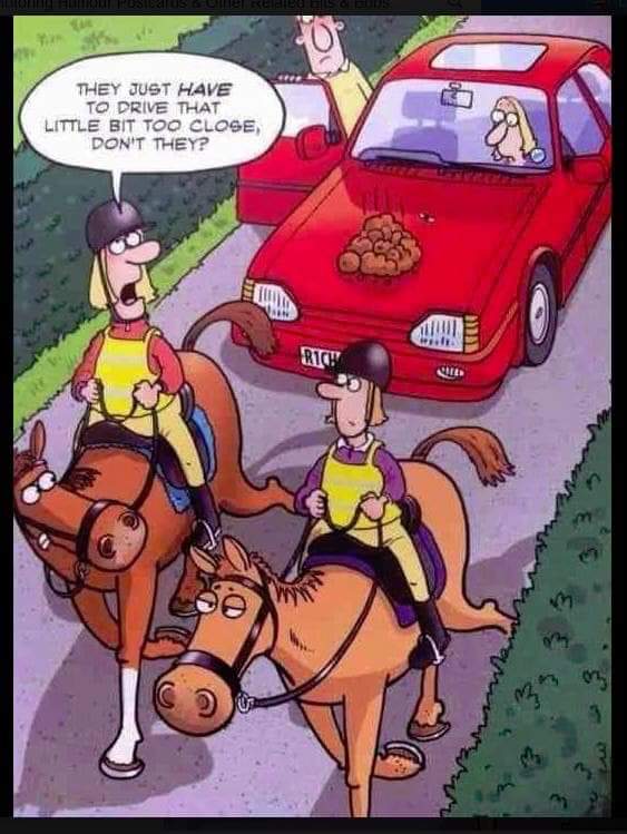 If you're hitting the road over the #EasterWeekend, take care ... there are #Horses out there! 😁