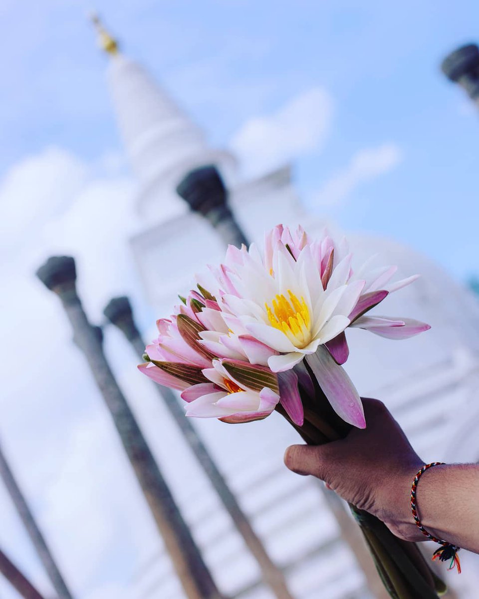 The Sacred City of Anuradhapura was the first ancient capital in Sri Lanka. It became a UNESCO World Heritage Site in 1982. #WorldHeritageDay #Anuradhapura #SriLanka 

Via Instagram by harith_jay__  -bit.ly/2UKiM3C