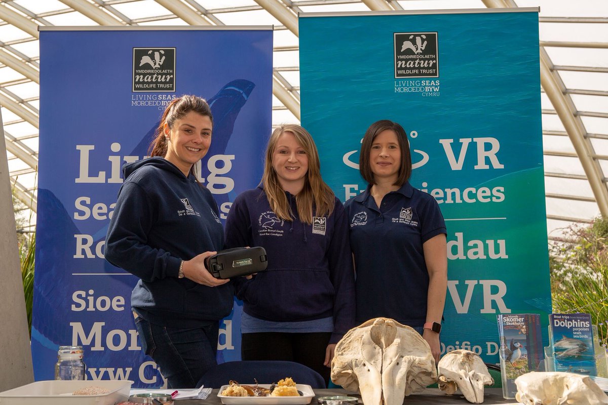 Hwyl Events tweet media