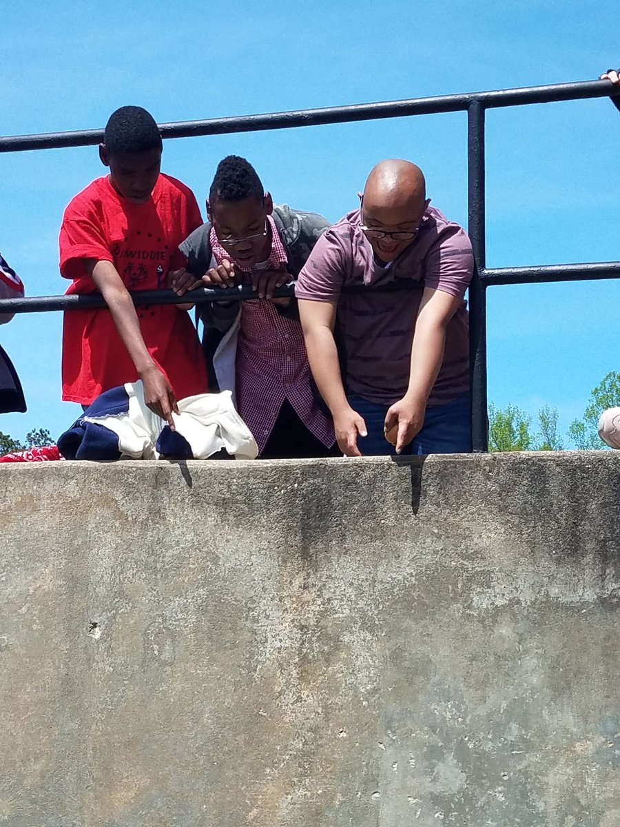 jlambirth's tweet photo. STEM project...building a contraption that will protect an egg when dropped. Proud that many of our students saved the egg!#MUSTbesuccessful #DMSgens #theresaplaceforus https://t.co/BJH1C01K2u
