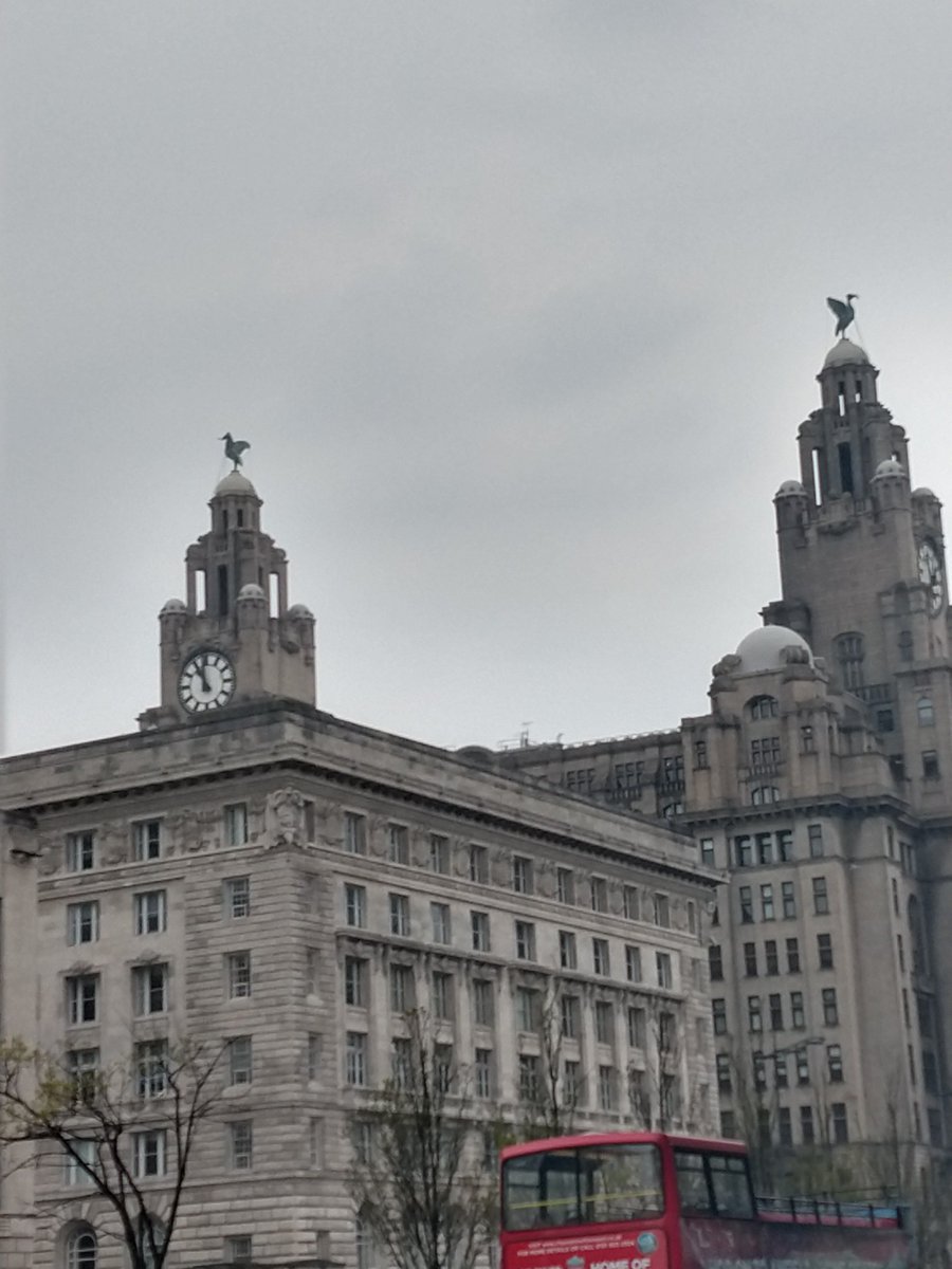 eilish.gorse@port.ac.uk tweet media