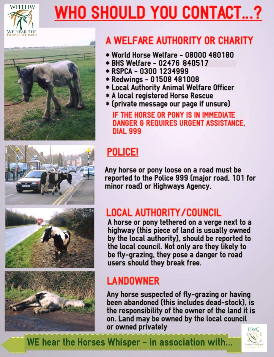 As we start another Bank Holiday RSPCA bashing - remember, pretty much they are the only ones out working working. Sometimes covering huge areas and not all are super-experienced horsey people - they might not be able to come straight away, hang in there #helpnothinder