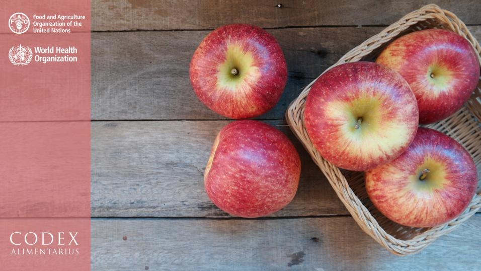 FAOWHOCodex's tweet image. 📙 | #Codex codes of practice help the prevention and reduction of #patulin contamination in #apple juice by focusing on recommended practices based on Good Agricultural Practice (GAP) &amp;amp; Good Manufacturing Practices (GMP)

➡ bit.ly/2vaboPI 

#FoodSafety #FoodTrade 🍎