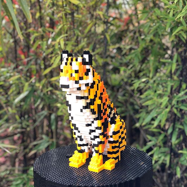 peterbladen's tweet photo. #legotiger still at chesterzoo https://t.co/bqY8uvZrly