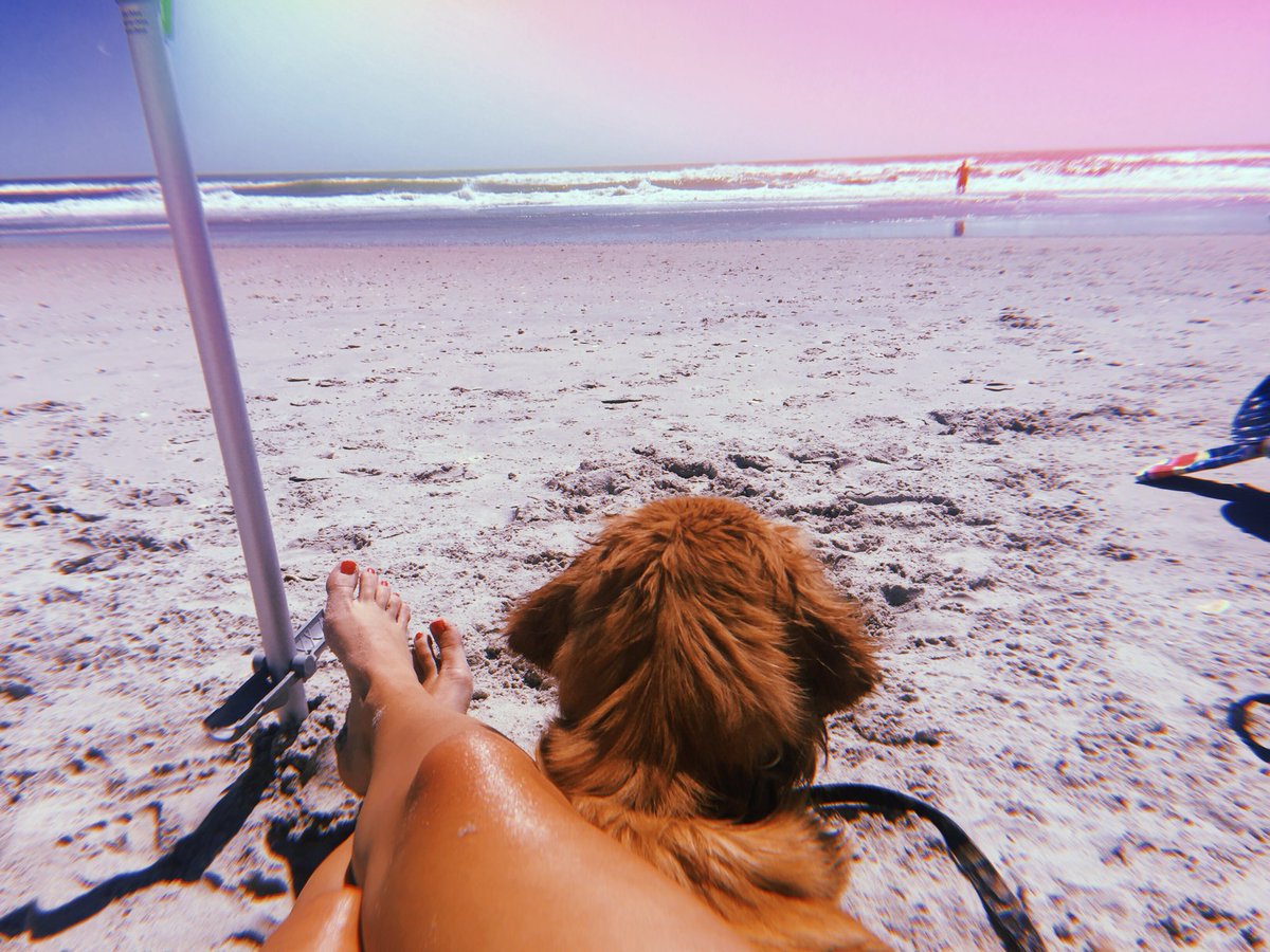 Mrs_OTScience's tweet photo. Where else would an Oceanography teacher be spending their spring break? Headed from Surf City to Emerald Isle to finish out the week. https://t.co/jFAm3d7OU5