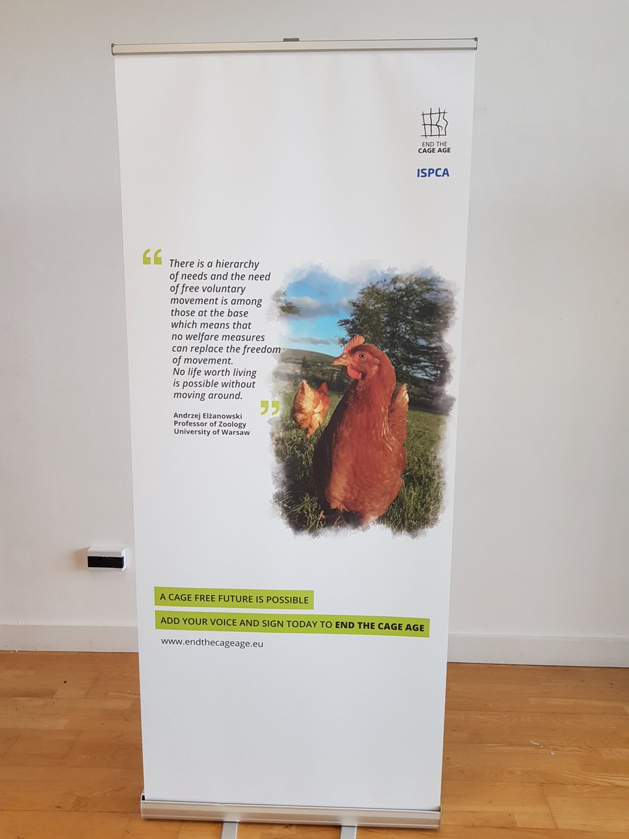Dr_A_Kelly's tweet photo. I'm at The
I'm at CHQ @chqdublin to launch @ISPCA1 campaign calling for ban on cages for laying hens in Ireland. Over 1.9million hens in Ireland are kept in cages with only 75sqcm &amp; can't express normal behaviour - sign #EndtheCageAge petition https://t.co/GtWdff4KYa news page https://t.co/FG33Lcxava