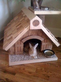 Alvin is ready for Easter!