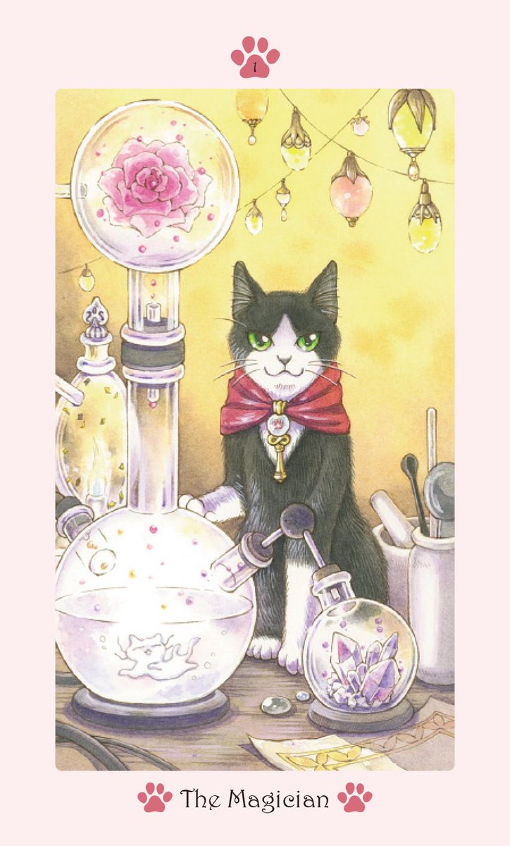 5月10日～22日、高円寺の「猫の額」さんで個展を開催します。私がイラストを描き下ろした「CAT PAW TAROT」を書店に先駆けて先行発売!個展限定の絵やグッズも各種取り揃えてお待ちしています。よろしくお願いします♪ 