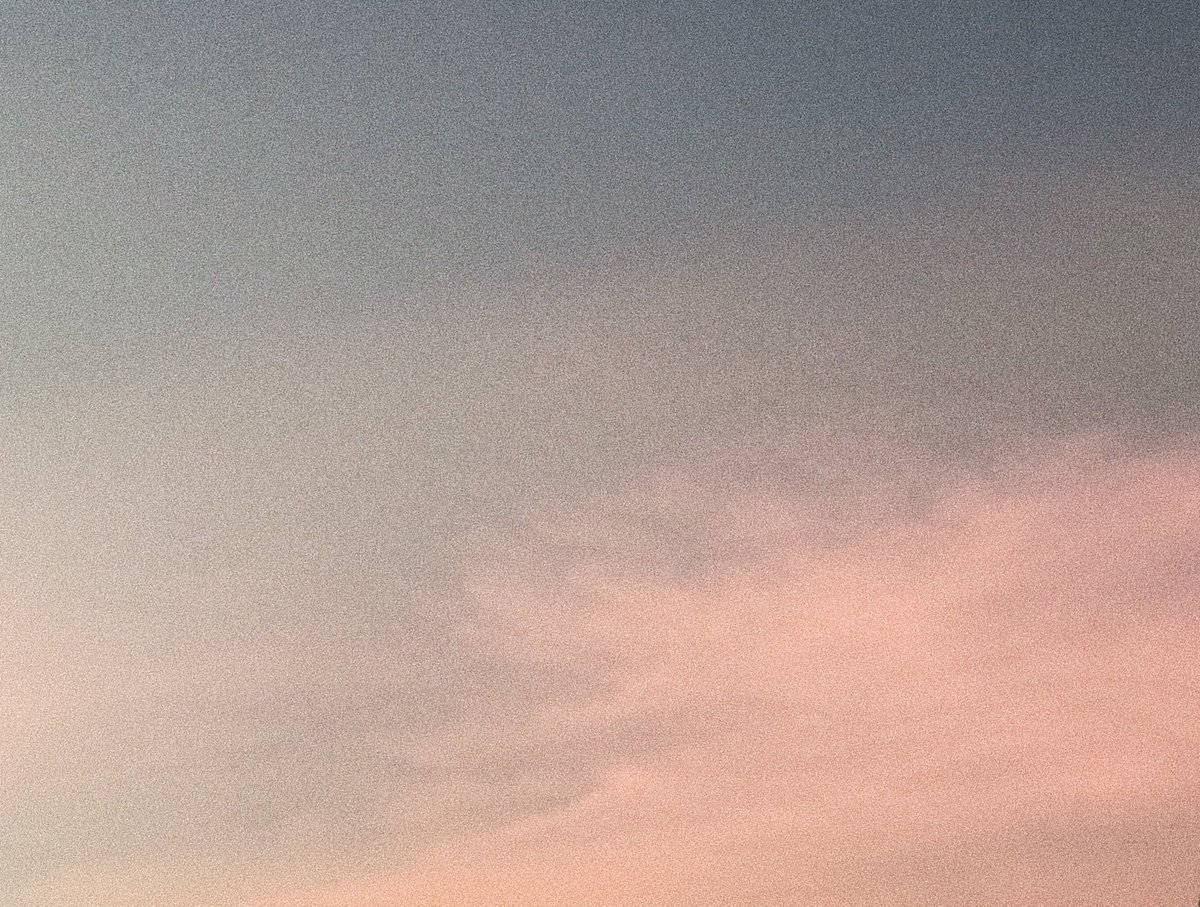 —𝘭𝘰𝘯𝘨𝘵𝘪𝘫𝘶𝘥𝘦 tweet media