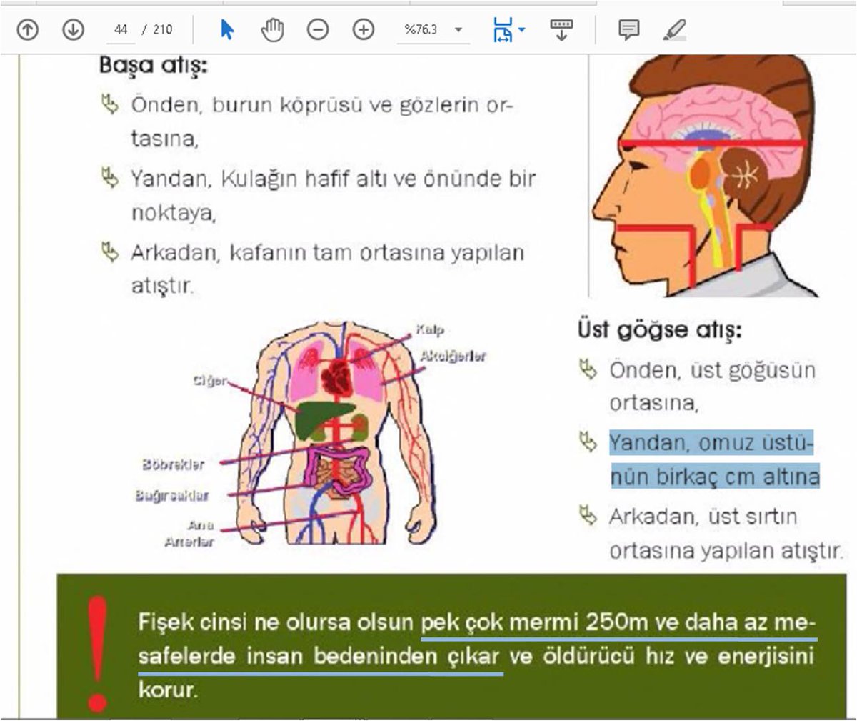 E.Olçok ve oğlunun raporlarını paylaşmıştım.İkisi de yandan, sol omzun hafif altından vuruluyor.Mermi vücut içinde diagonal ilerliyor, sağ yan alttan çıkıyor.Hedef noktası Keskin Nişancı Kitabı hedef tatbik noktasına uyuyor.Kitap, atış 250 m içinden olursa mermi çıkar diyor.