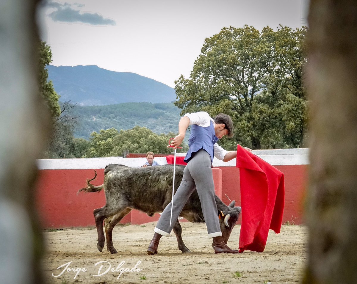 Las embestidas ocultas de las futuras madres de la Ganadería #joseescolar tremendo tentadero el vivido ayer en la finca Valle Montetietar, Lanzahita (Ávila). <a href="/_Antonionazare_/">Prensa Antonio Nazaré</a> impresionante.