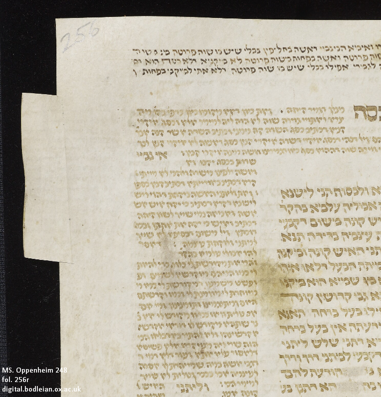 BDLSS's tweet photo. Like many of our manuscripts, MS. Oppenheim 248 was trimmed before being rebound by a previous owner. Unlike many of our manuscripts, MS. Oppenheim 248 was trimmed by someone who took special care to preserve the marginal notes. https://t.co/DSTXtPFnLk #PolonskyProject #HebrewMSS https://t.co/cpQN8ESE3v