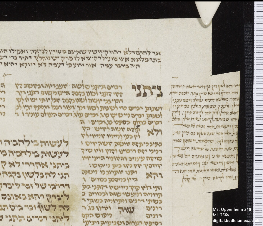BDLSS's tweet photo. Like many of our manuscripts, MS. Oppenheim 248 was trimmed before being rebound by a previous owner. Unlike many of our manuscripts, MS. Oppenheim 248 was trimmed by someone who took special care to preserve the marginal notes. https://t.co/DSTXtPFnLk #PolonskyProject #HebrewMSS https://t.co/cpQN8ESE3v
