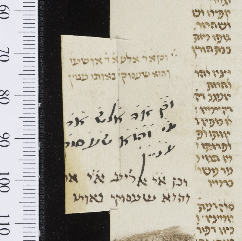 BDLSS's tweet photo. There are a dozen of these little flaps throughout the manuscript. In each case, someone must have cut a slit on either side of the text, folded the flap in, and then trimmed the text block as usual. https://t.co/dVJ39CX4EM #PolonskyProject https://t.co/GcHawhHq1K