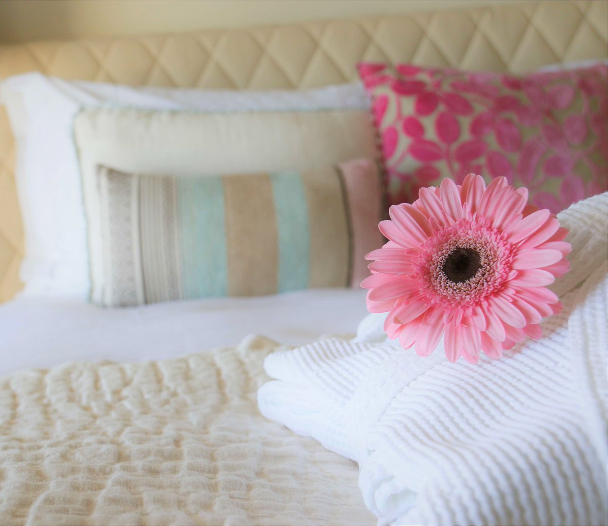 Vila Vita Parc tweet media