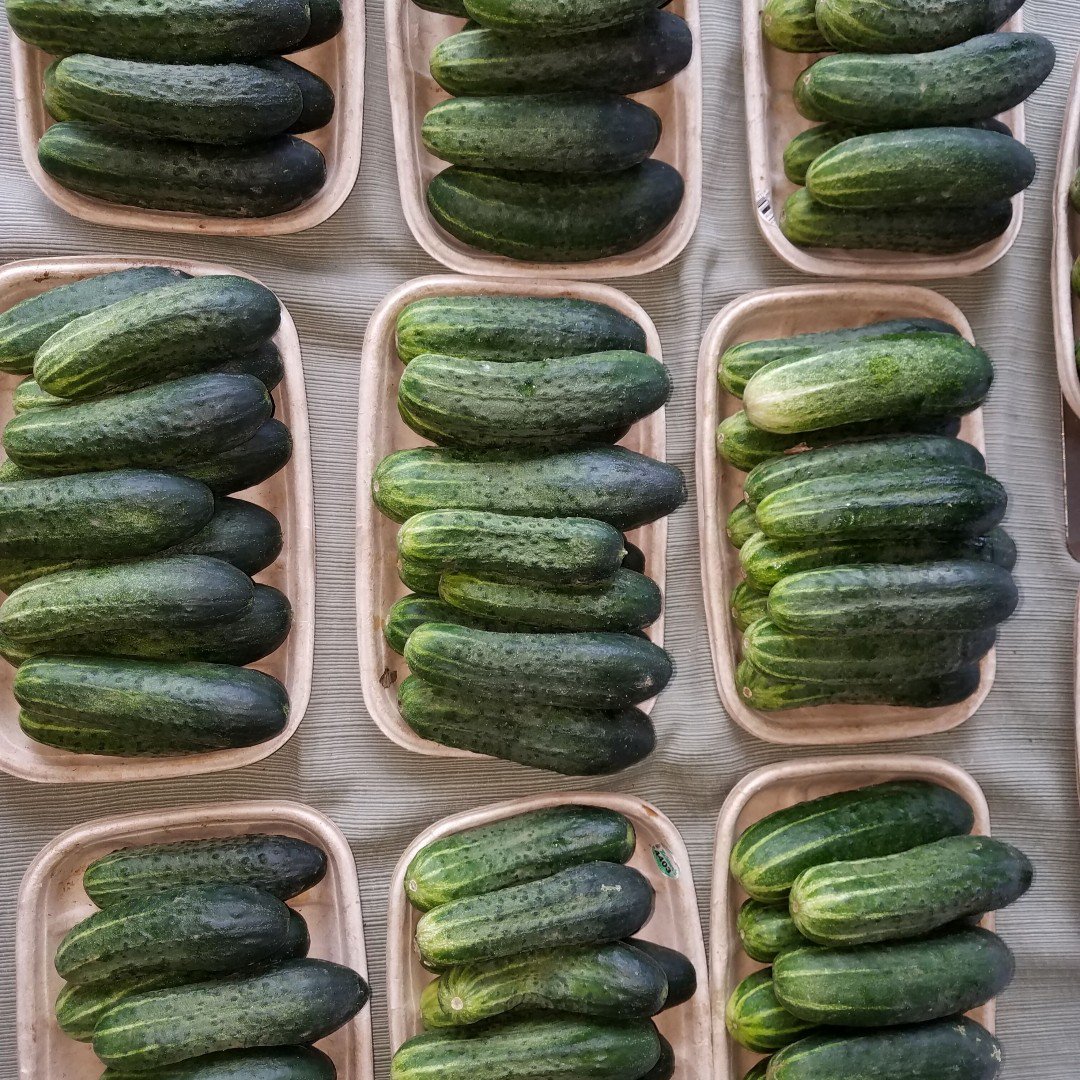 MplsFarmMarket's tweet photo. #FreshCucumbers
#ThrowBackThurs
#MplsFarmersMarket https://t.co/xbo1EALq48