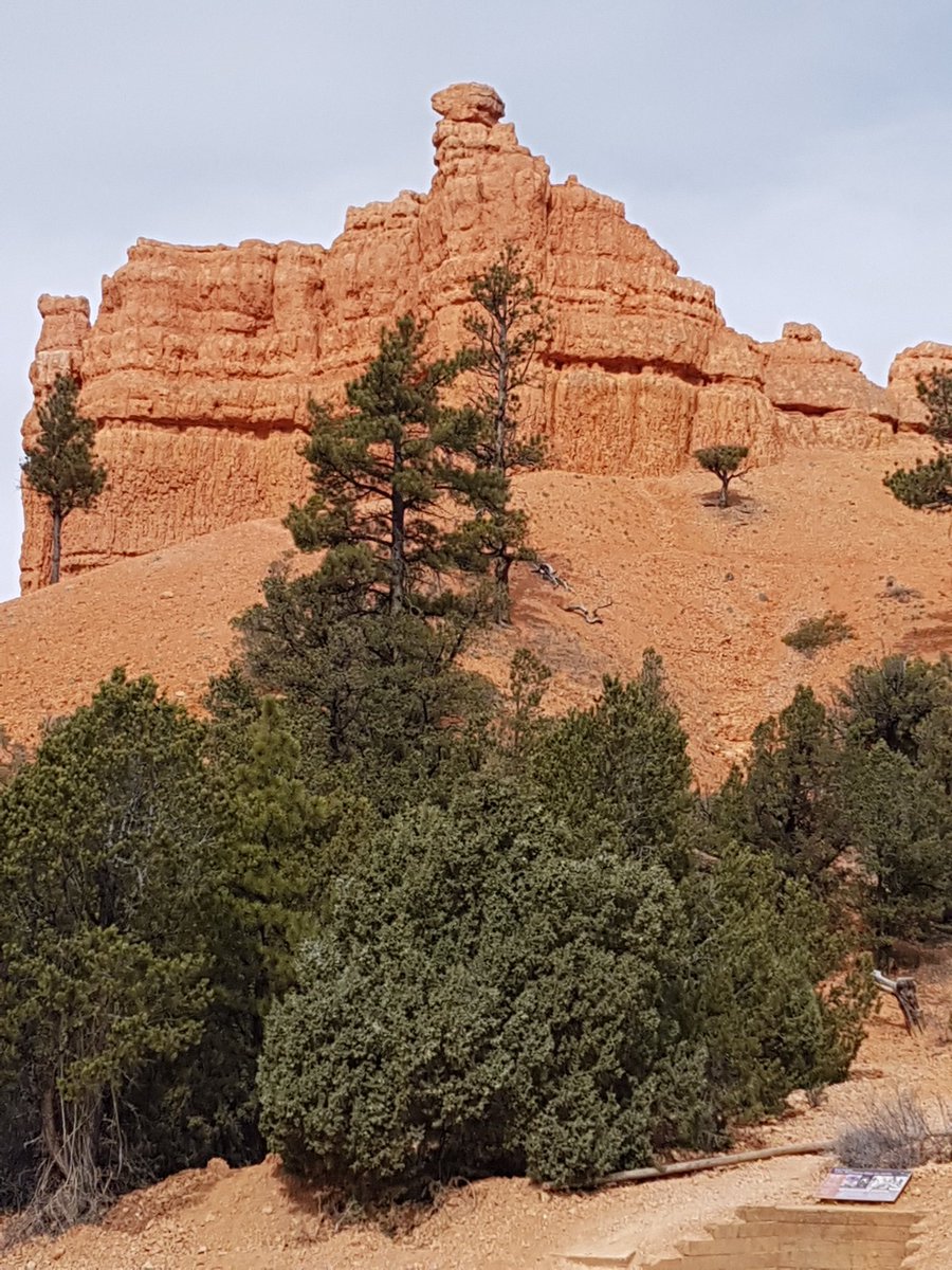 camundson1's tweet photo. 30 minutes later and our view changed dramatically! https://t.co/zBwUyjX8my