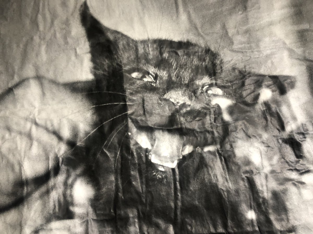 Is this my mother reviewing my life or what?