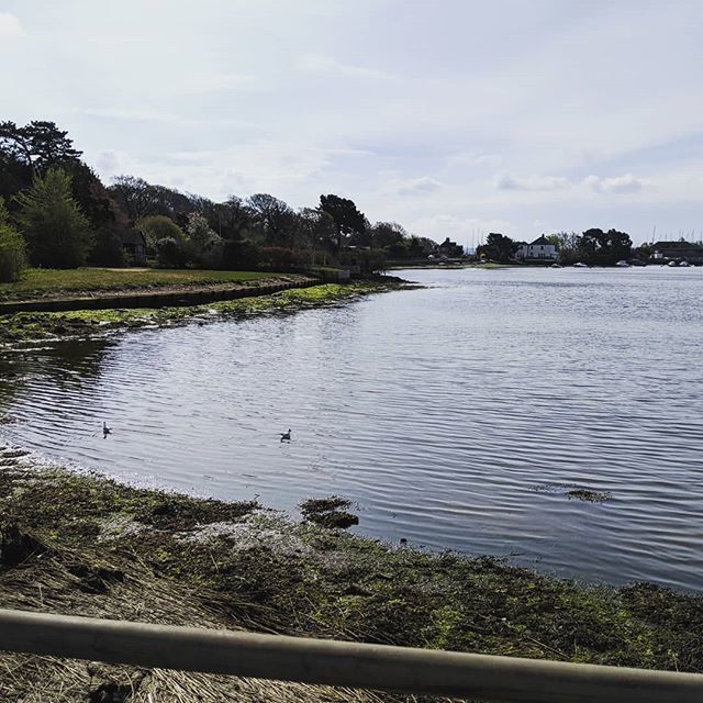 sammitc100's tweet photo. #lake #travels #tree #coupletravel https://t.co/KQbqhFPRgj https://t.co/nVJvWARjHf