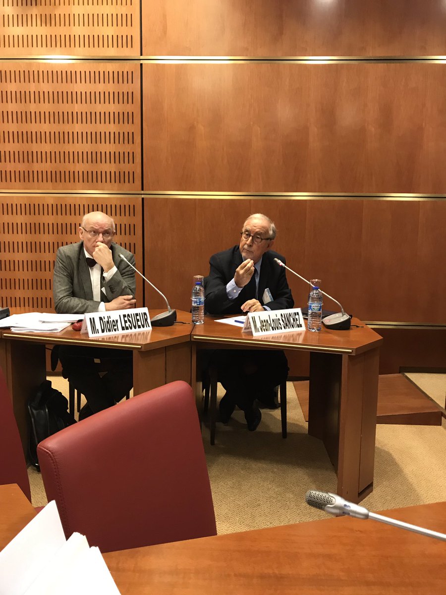 moniquelimon38's tweet image. #AideSociale #enfance
Je participe ce matin dans le cadre de la mission #adoption confiée par le 1er Ministre, aux auditions de ASE mission ODAS, CNPE et CESE Antoine Dulin