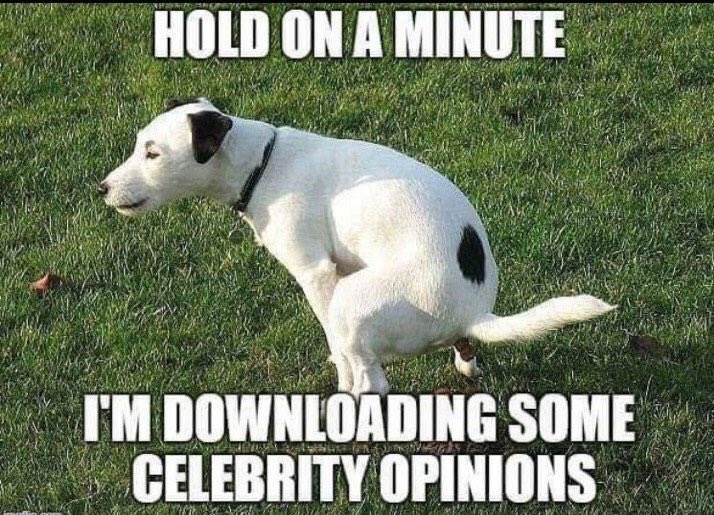 ShipJos's tweet photo. @mikebwonder Yep... https://t.co/5rX7H8ESCF