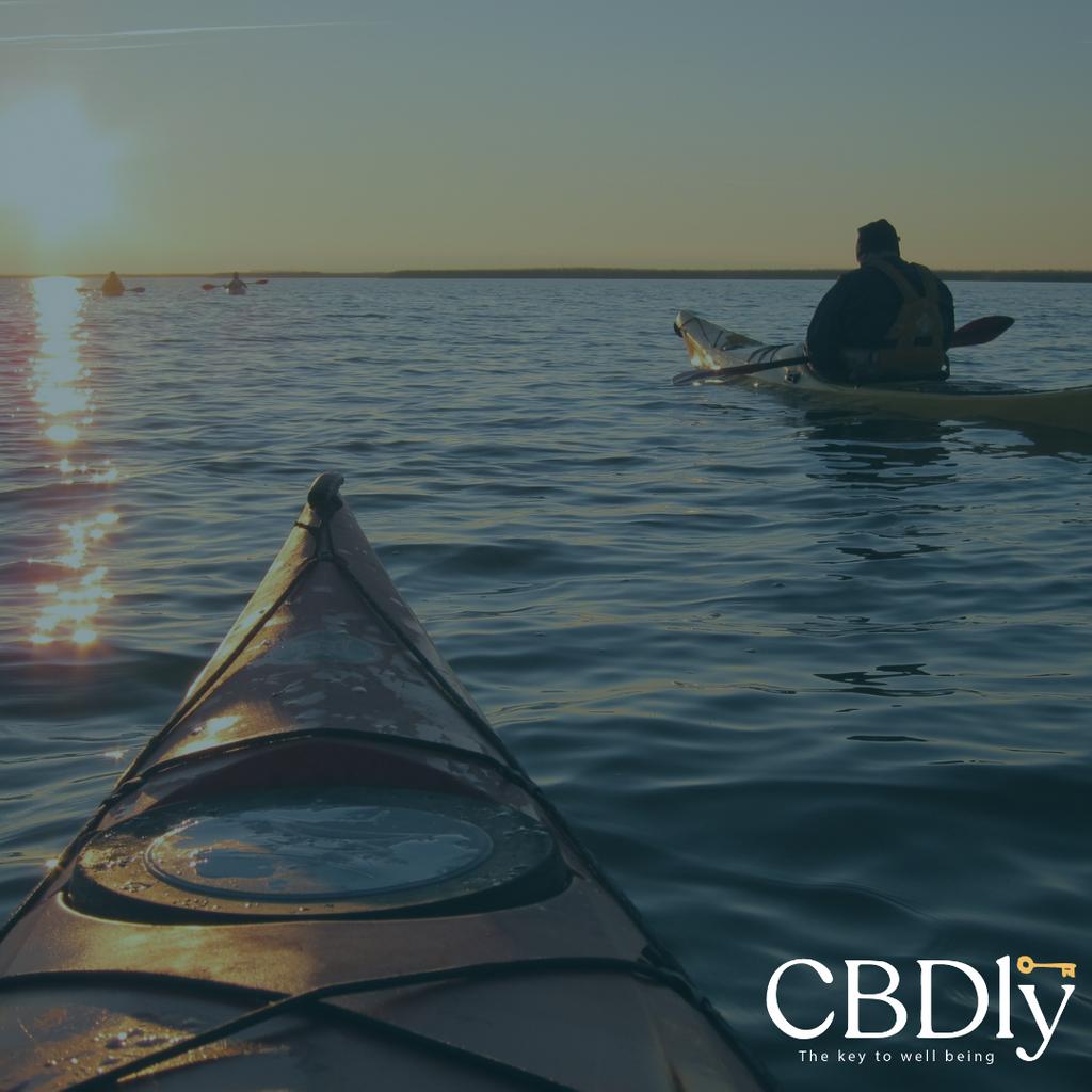 cbdly_uk's tweet photo. Wherever life takes you, don't forget to bring your CBD!  #cbd #cbdoil #cannabidiol #cbdhealth https://t.co/nRHVul6SIJ