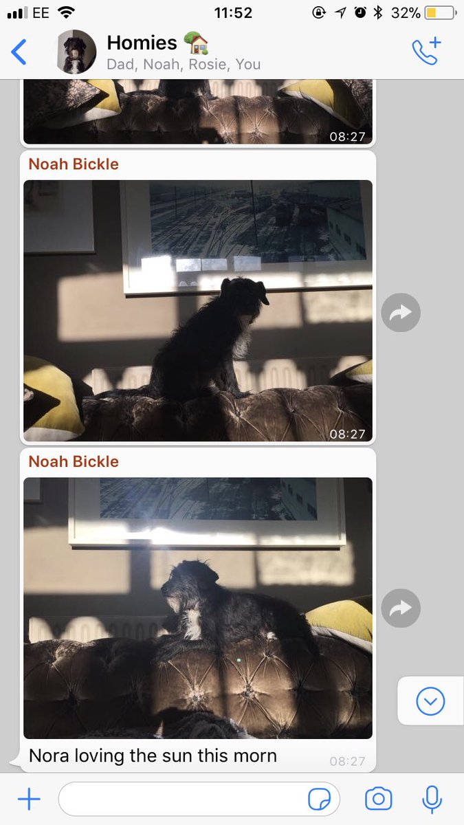 tilly bickle tweet media