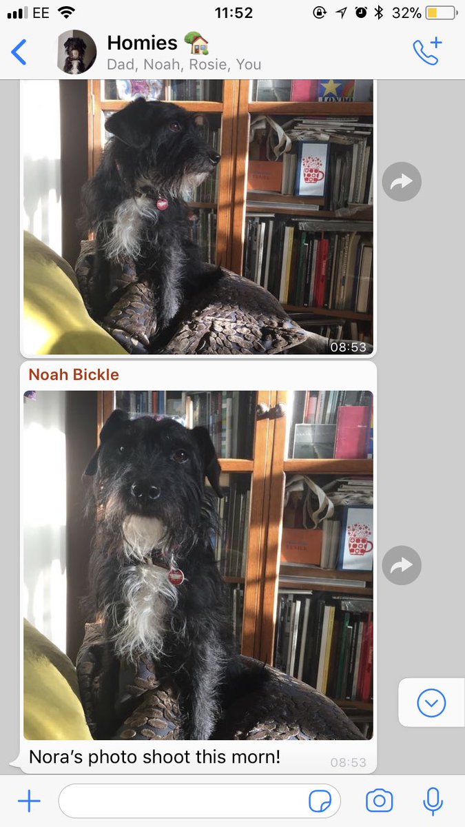 tilly bickle tweet media