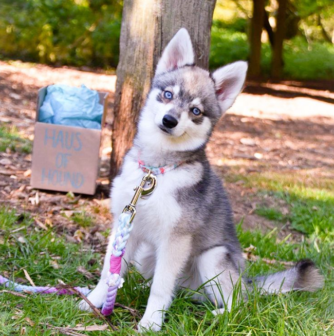 二度見するほど美しい生き物 S Recent Tweets 9 Whotwi Graphical Twitter Analysis