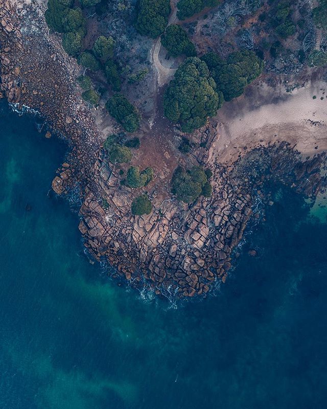 michaelpmevans's tweet photo. Picnic filled evenings in the cove 🌅 @myblankdiary https://t.co/f2sv60A7hI https://t.co/c720uW0wzq